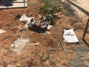  يافا: لجنة إكرام الميت تُجدد نداءها للمواطنين بعدم إلقاء الأوساخ في أرض مقبرة طاسو 